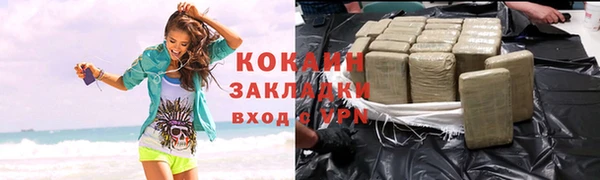 гашик Аркадак