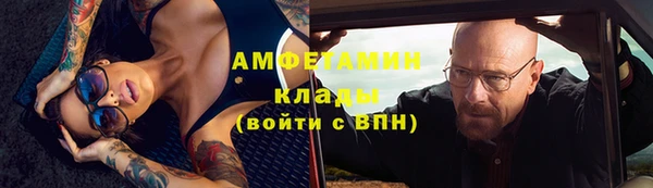 гидра Арсеньев