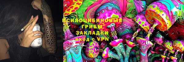 гидра Арсеньев